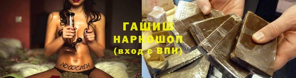 амф Козельск