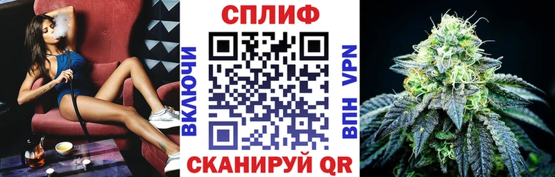 Бошки марихуана SATIVA & INDICA  сколько стоит  darknet наркотические препараты  Порхов 